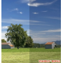 Film anti-ondes pour fenêtre YShield RDF62 | Largeur 152 cm
