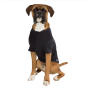 Manteau anti-ondes pour chien Leblok® Blokka® Amberley | Protection été et intérieur - Noir