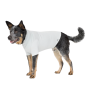 Manteau anti-ondes pour chien Leblok® Blokka® Amberley | Protection été et intérieur - Gris