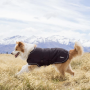 Manteau anti-ondes Leblok® Blokka® Taradale | Protection hiver et extérieur - Noir