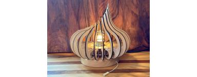 Toutes nos lampes blindées