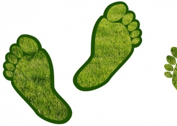 Qu'est-ce que le Earthing ?